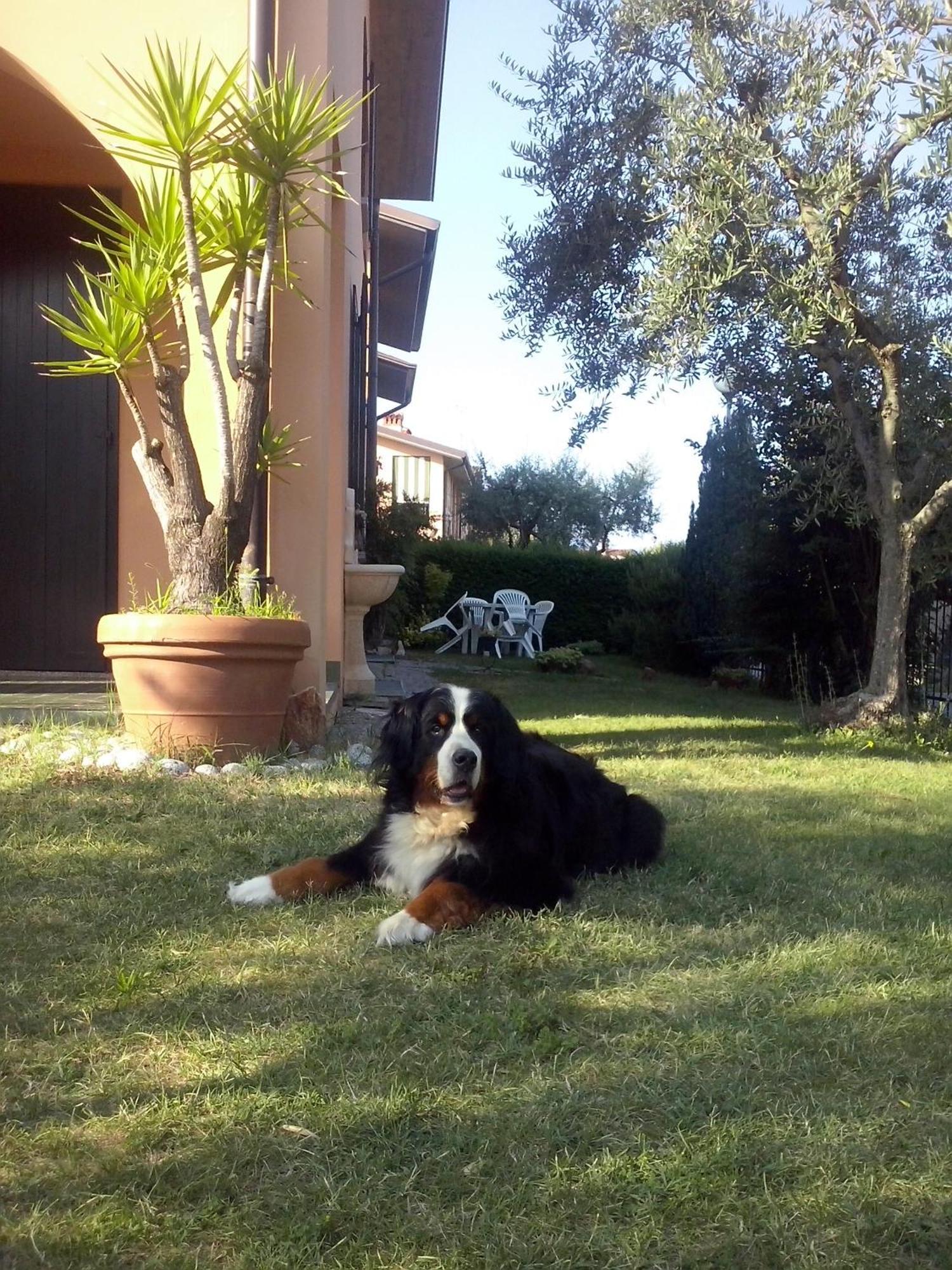 B&B Nonna Cecilia Puegnago sul Garda Exterior foto